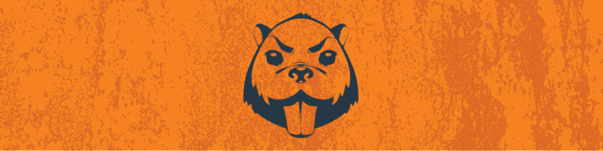 Security Issues That Deserve a Logo, Part 3: Eager Beavers image