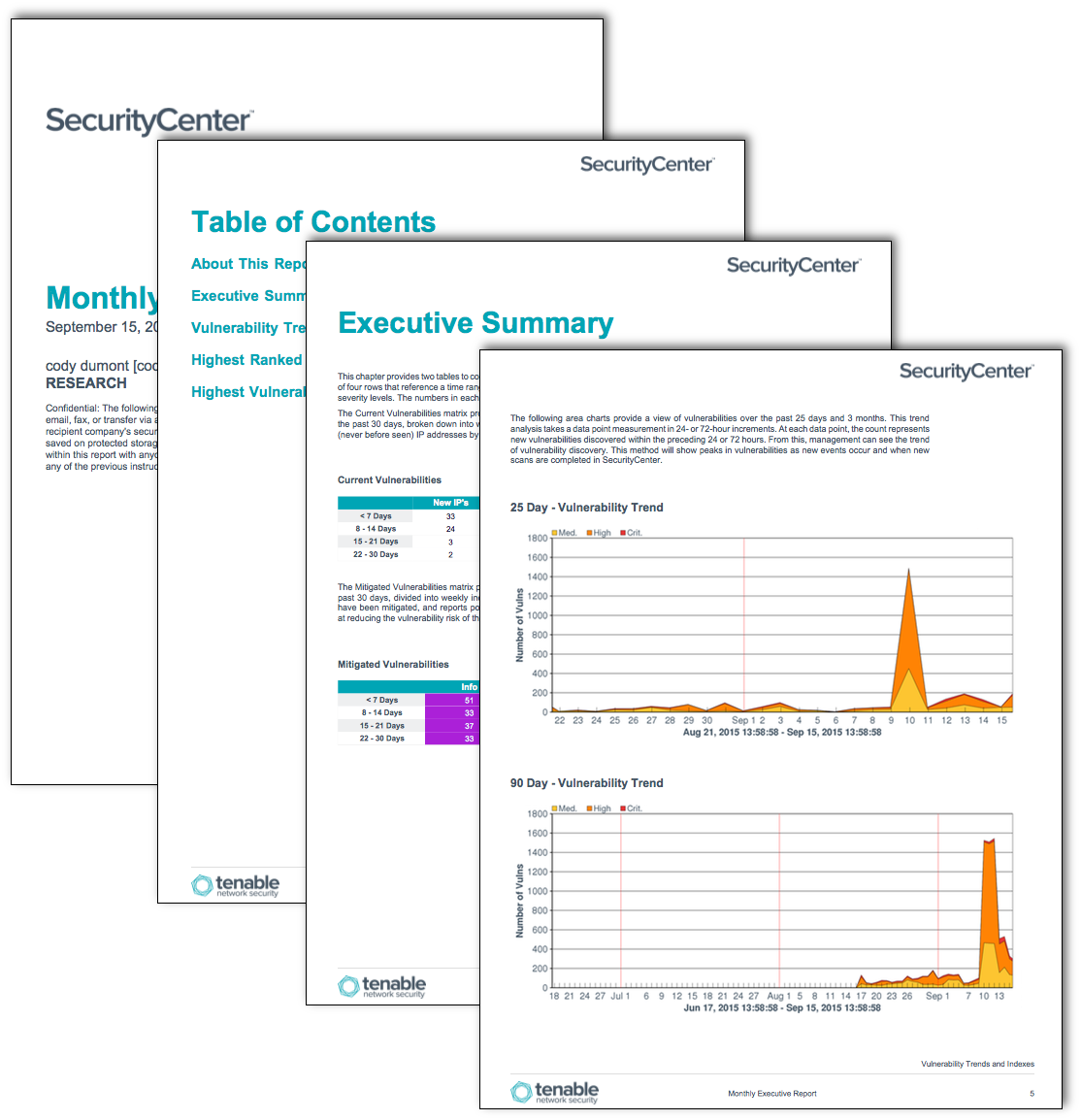 Monthly Executive Report Sc Report Template Tenable